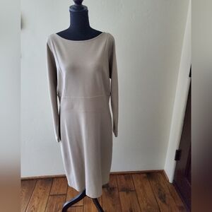 Ann Taylor Tan Dress